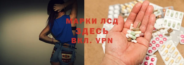 стафф Богданович