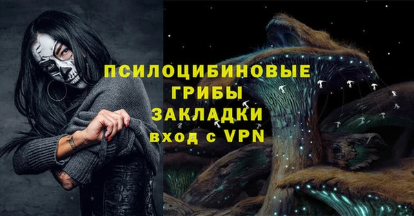 стафф Богданович