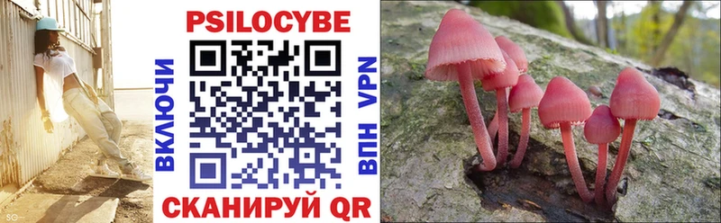 Галлюциногенные грибы Psilocybine cubensis  Видное 